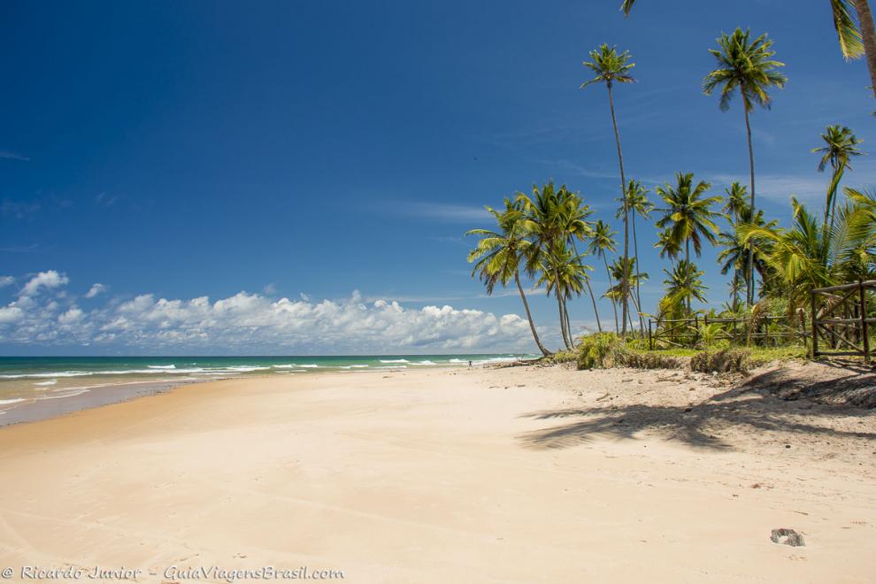 Imagem das areias claras e coqueiros na Praia da Bombaça.